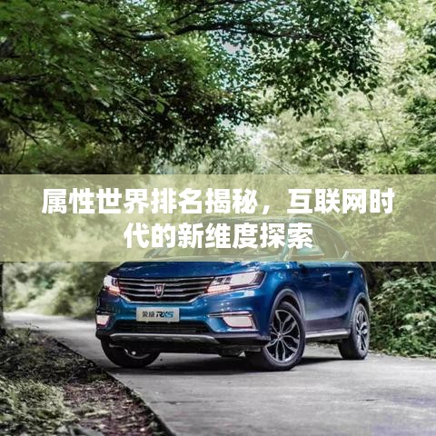屬性世界排名揭秘，互聯(lián)網(wǎng)時代的新維度探索