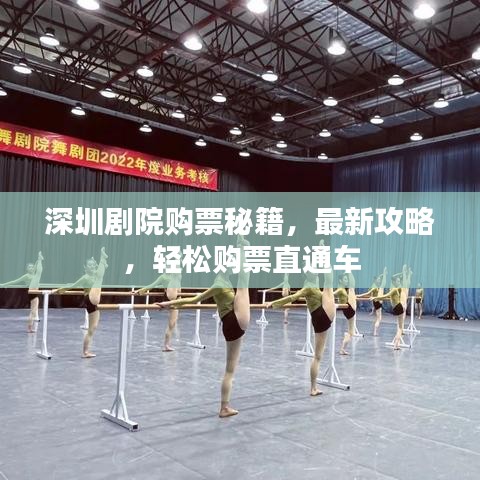 深圳劇院購票秘籍，最新攻略，輕松購票直通車