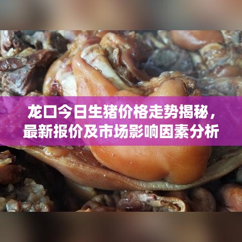 龍口今日生豬價格走勢揭秘，最新報價及市場影響因素分析