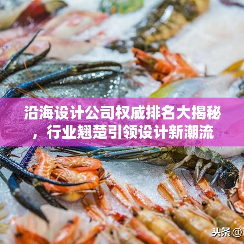 沿海設(shè)計(jì)公司權(quán)威排名大揭秘，行業(yè)翹楚引領(lǐng)設(shè)計(jì)新潮流