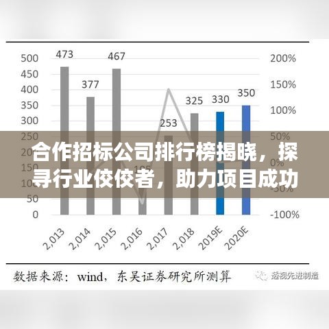 合作招標(biāo)公司排行榜揭曉，探尋行業(yè)佼佼者，助力項(xiàng)目成功落地