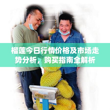 榴蓮今日行情價(jià)格及市場(chǎng)走勢(shì)分析，購(gòu)買指南全解析