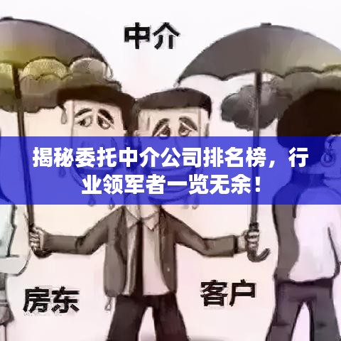 揭秘委托中介公司排名榜，行業(yè)領(lǐng)軍者一覽無余！