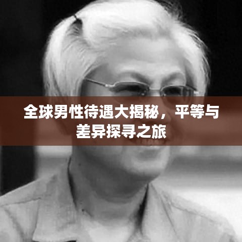 全球男性待遇大揭秘，平等與差異探尋之旅