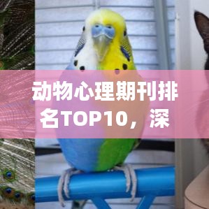 動物心理期刊排名TOP10，深度解讀動物情感世界