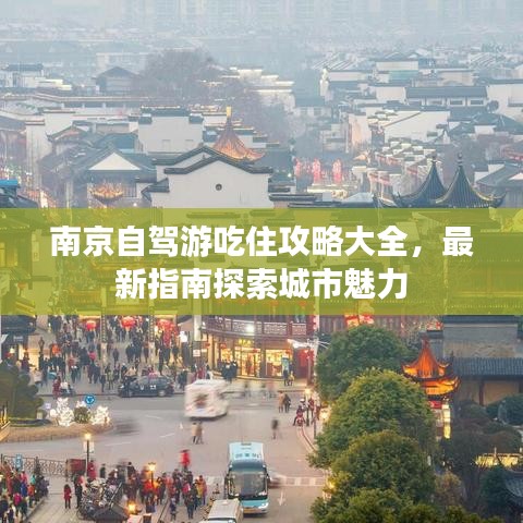 南京自駕游吃住攻略大全，最新指南探索城市魅力