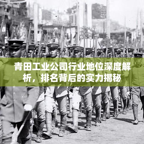 青田工業(yè)公司行業(yè)地位深度解析，排名背后的實(shí)力揭秘