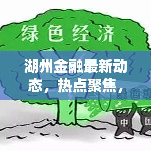 湖州金融最新動態(tài)，熱點聚焦，深度解讀
