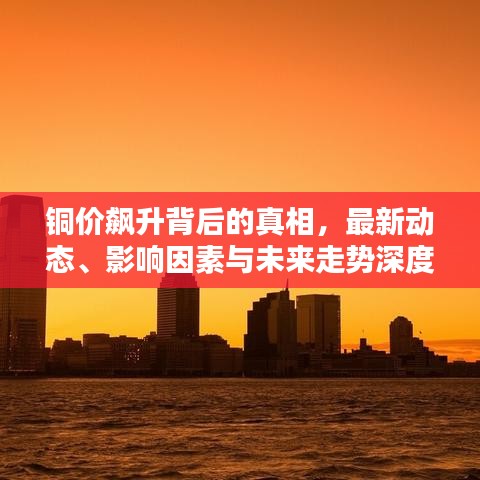 一絲不茍 第6頁