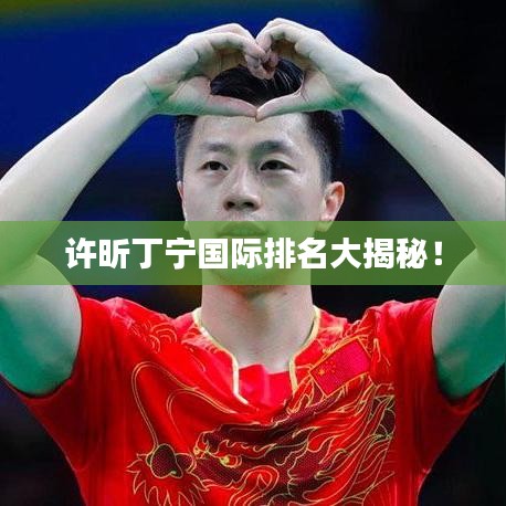 許昕丁寧國際排名大揭秘！