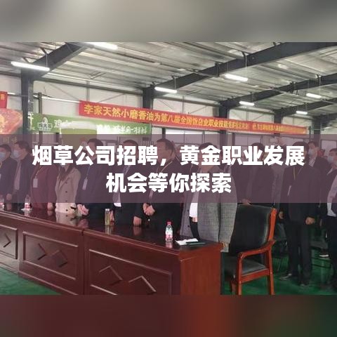 煙草公司招聘，黃金職業(yè)發(fā)展機會等你探索