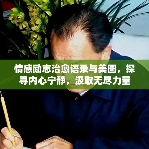 情感勵(lì)志治愈語(yǔ)錄與美圖，探尋內(nèi)心寧?kù)o，汲取無(wú)盡力量