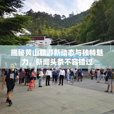 揭秘黃山旅游新動態(tài)與獨特魅力，新聞頭條不容錯過