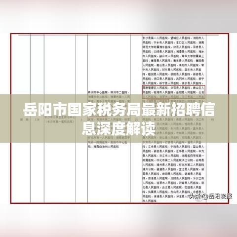 岳陽市國家稅務(wù)局最新招聘信息深度解讀