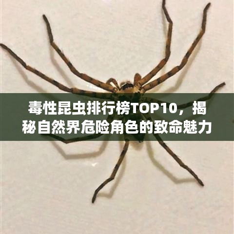 粗心大意 第5頁