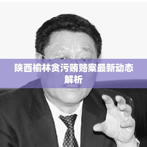 陜西榆林貪污賄賂案最新動態(tài)解析