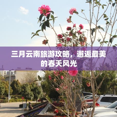 三月云南旅游攻略，邂逅最美的春天風光