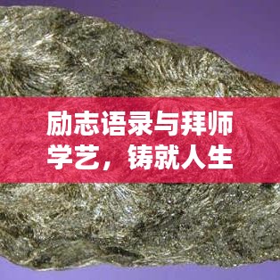 標(biāo)新競(jìng)異 第5頁(yè)