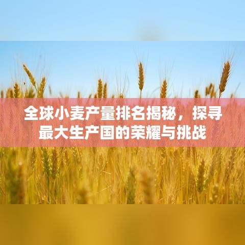 懷真抱素 第6頁