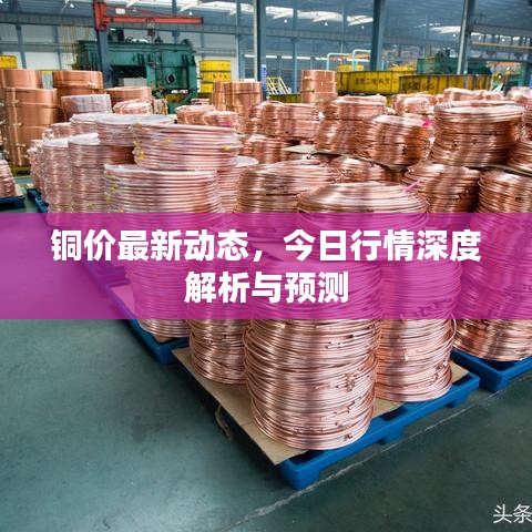 銅價最新動態(tài)，今日行情深度解析與預(yù)測