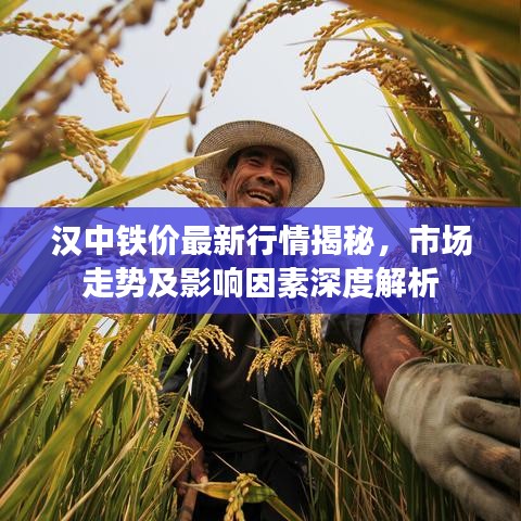 漢中鐵價(jià)最新行情揭秘，市場(chǎng)走勢(shì)及影響因素深度解析