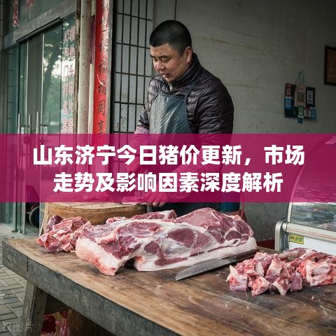 山東濟(jì)寧今日豬價(jià)更新，市場走勢及影響因素深度解析