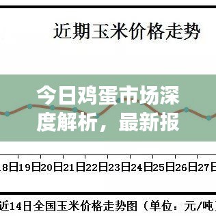 今日雞蛋市場深度解析，最新報(bào)價(jià)、走勢分析及未來預(yù)測