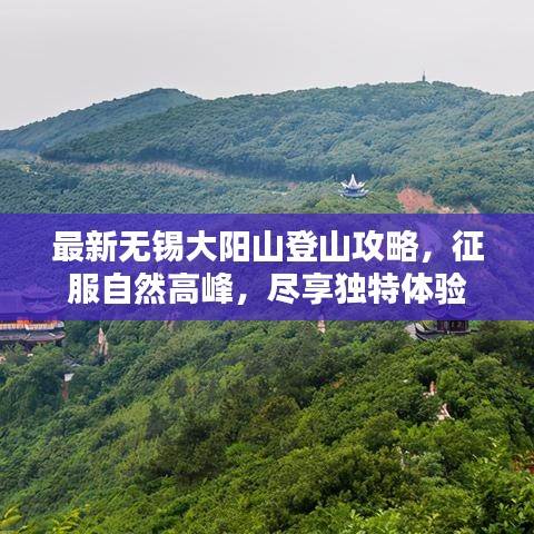最新無錫大陽山登山攻略，征服自然高峰，盡享獨特體驗