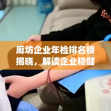廊坊企業(yè)年檢排名榜揭曉，解讀企業(yè)穩(wěn)健發(fā)展之力