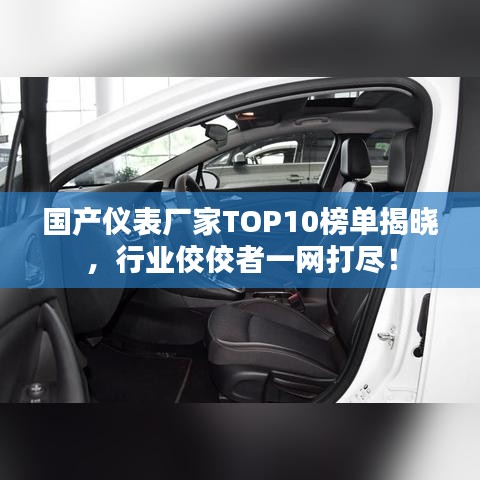 國產(chǎn)儀表廠家TOP10榜單揭曉，行業(yè)佼佼者一網(wǎng)打盡！