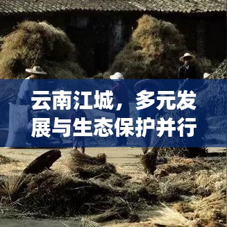云南江城，多元發(fā)展與生態(tài)保護并行的探索之路