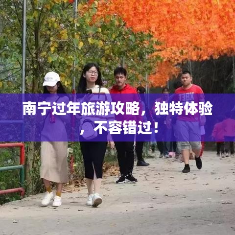 南寧過年旅游攻略，獨(dú)特體驗(yàn)，不容錯(cuò)過！