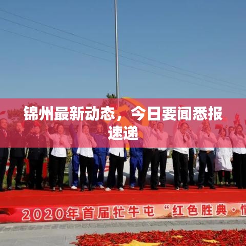 錦州最新動態(tài)，今日要聞悉報速遞