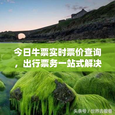 今日牛票實(shí)時(shí)票價(jià)查詢，出行票務(wù)一站式解決方案