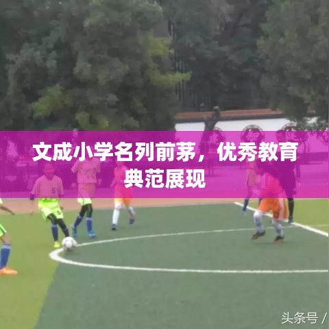 文成小學(xué)名列前茅，優(yōu)秀教育典范展現(xiàn)
