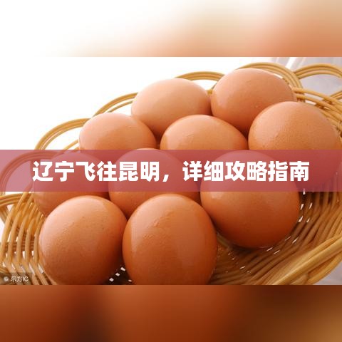 遼寧飛往昆明，詳細攻略指南