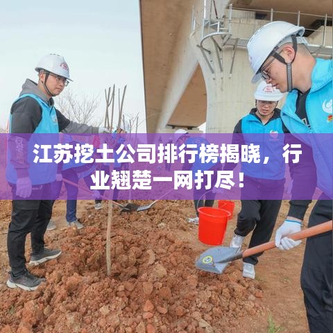 江蘇挖土公司排行榜揭曉，行業(yè)翹楚一網(wǎng)打盡！