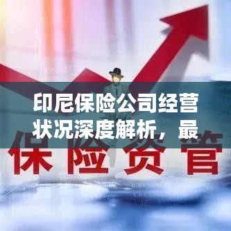 印尼保險公司經(jīng)營狀況深度解析，最新消息與破產(chǎn)傳聞探討