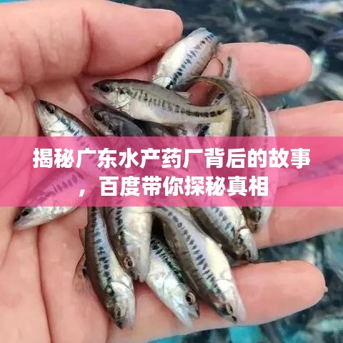 揭秘廣東水產(chǎn)藥廠背后的故事，百度帶你探秘真相