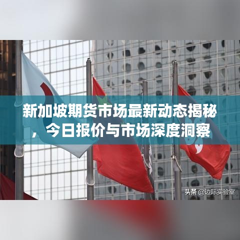 新加坡期貨市場(chǎng)最新動(dòng)態(tài)揭秘，今日?qǐng)?bào)價(jià)與市場(chǎng)深度洞察
