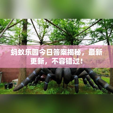 螞蟻樂園今日答案揭秘，最新更新，不容錯(cuò)過！