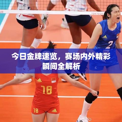 今日金牌速覽，賽場內(nèi)外精彩瞬間全解析