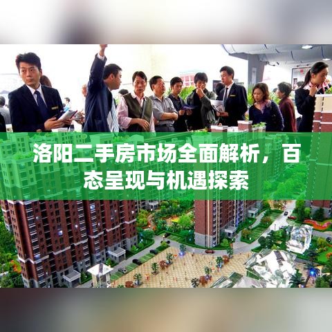 洛陽二手房市場全面解析，百態(tài)呈現(xiàn)與機(jī)遇探索