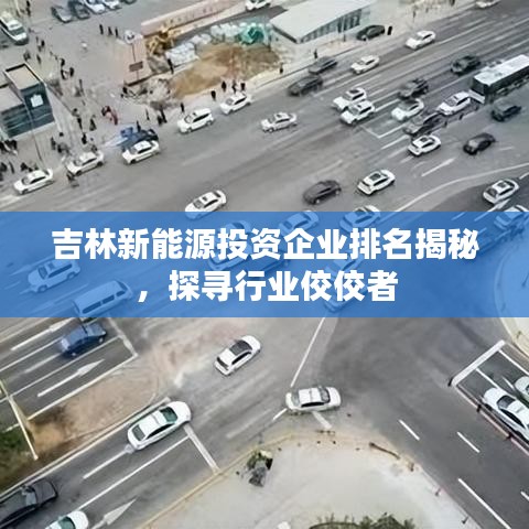 吉林新能源投資企業(yè)排名揭秘，探尋行業(yè)佼佼者
