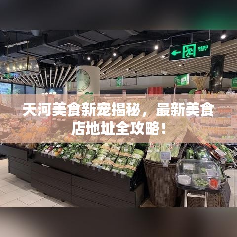 天河美食新寵揭秘，最新美食店地址全攻略！