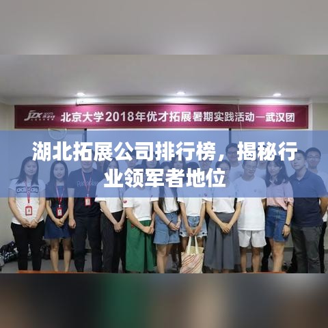 湖北拓展公司排行榜，揭秘行業(yè)領(lǐng)軍者地位