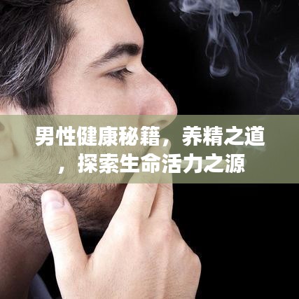 男性健康秘籍，養(yǎng)精之道，探索生命活力之源