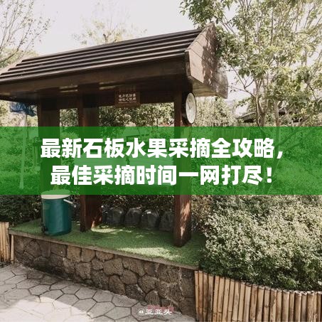 最新石板水果采摘全攻略，最佳采摘時間一網(wǎng)打盡！
