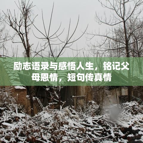 勵志語錄與感悟人生，銘記父母恩情，短句傳真情