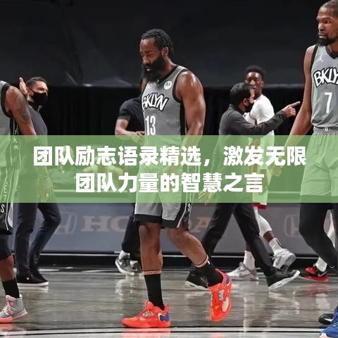 團(tuán)隊勵志語錄精選，激發(fā)無限團(tuán)隊力量的智慧之言